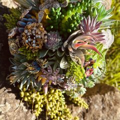 Bouquets - IMG_7791